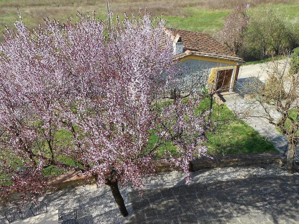 Amedea Tuscany Country Experience