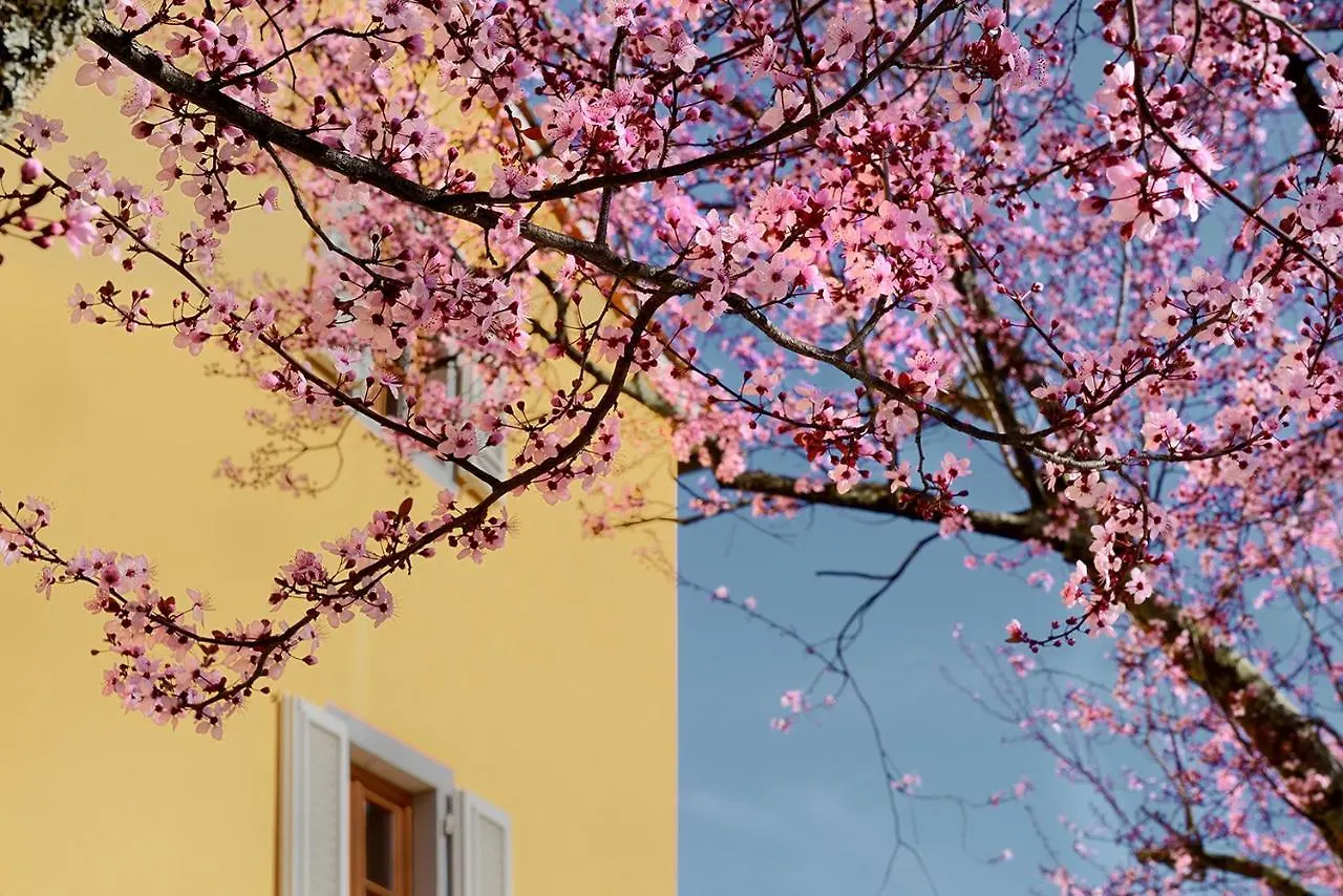 Farm stay Amedea Tuscany Country Experience Italy