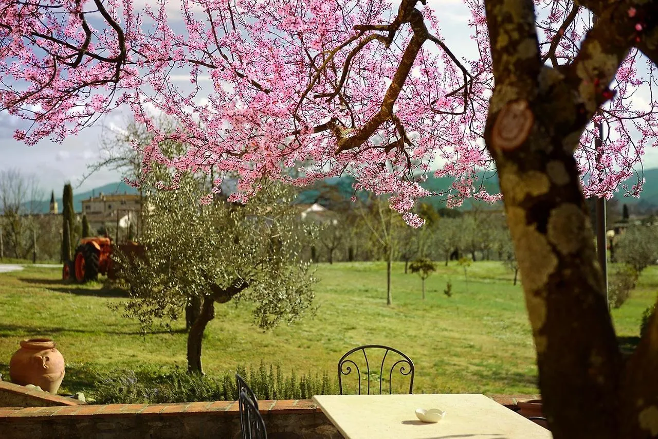 Amedea Tuscany Country Experience 0*, Pistoia